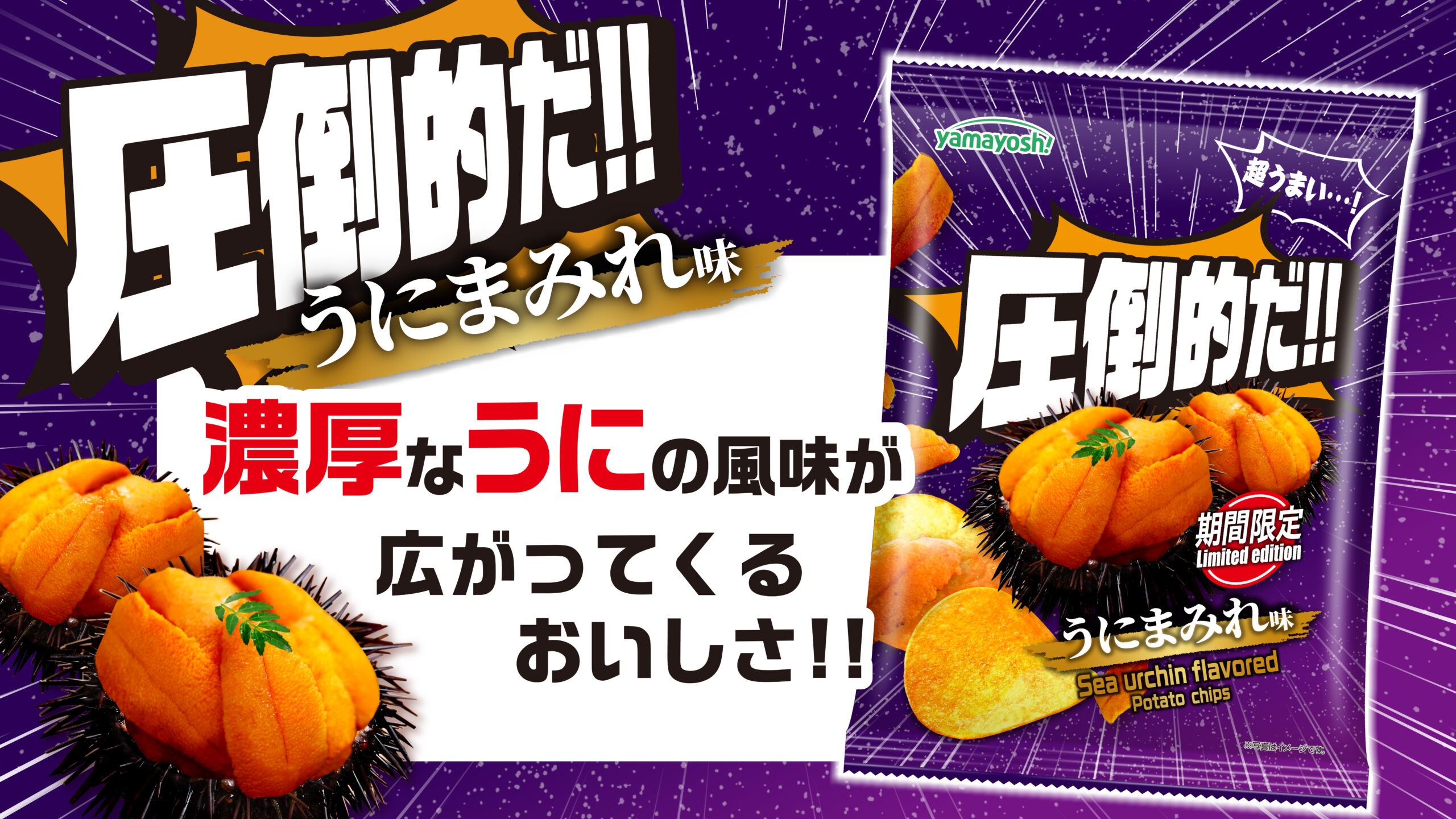 ポテトチップス　圧倒的だ!!うにまみれ味