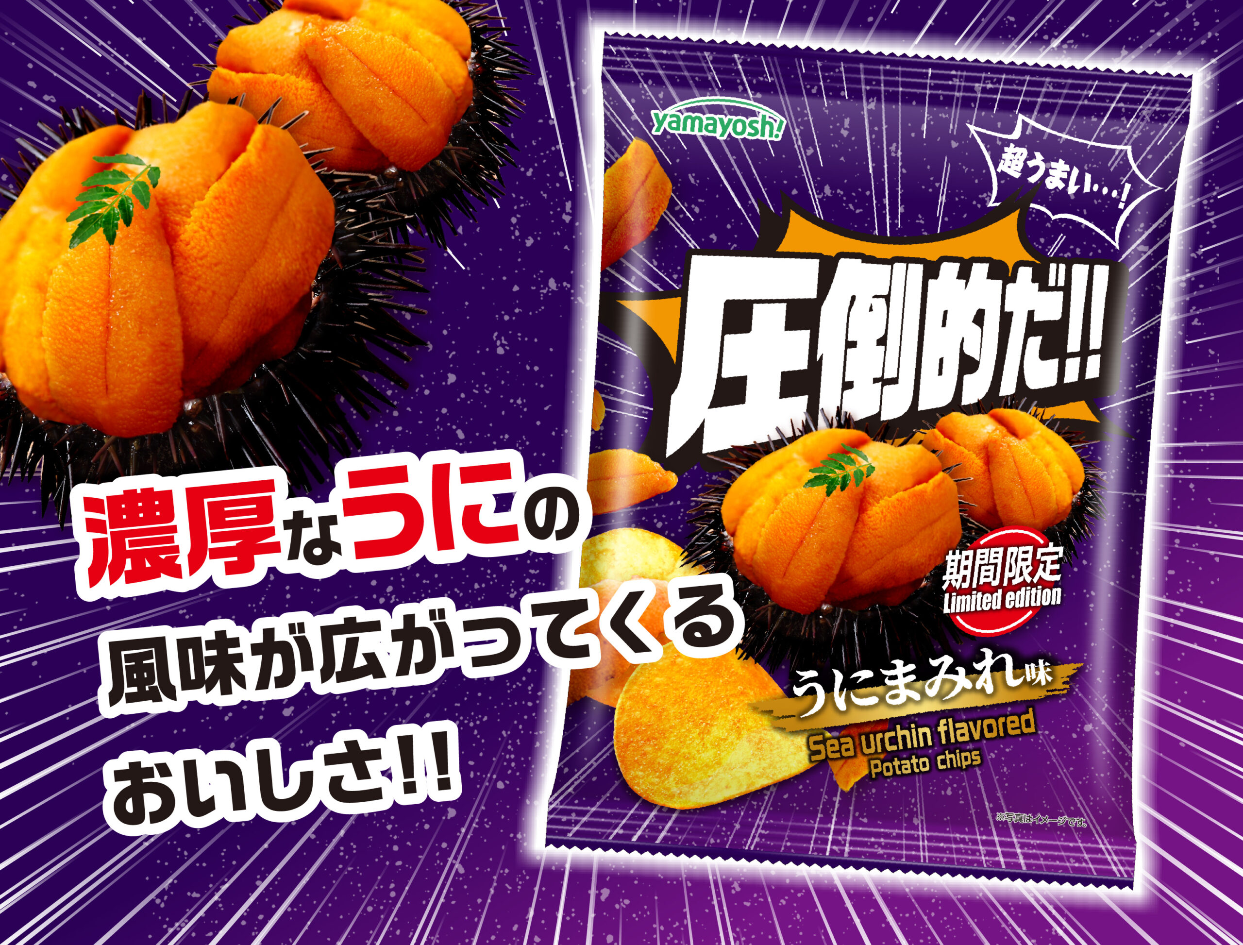 ポテトチップス　圧倒的だ!!うにまみれ味