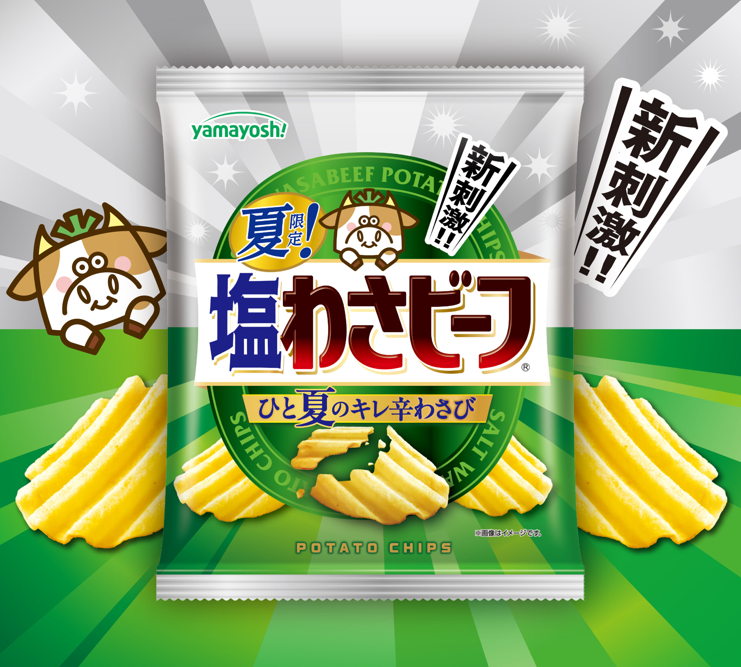 ポテトチップス　夏限定！塩わさビーフ